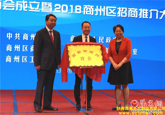 森弗集團(tuán)董事長金新康當(dāng)選首屆西安市商州商會會長