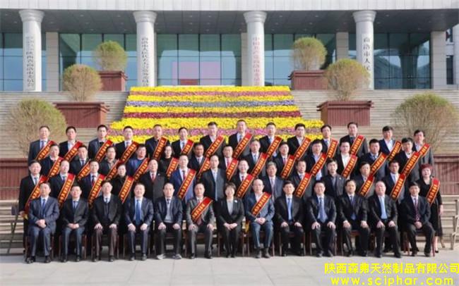 陜西森弗被評為“商洛市優(yōu)秀民營企業(yè)”，董事長金新康榮獲“商洛市優(yōu)秀民營企業(yè)家”稱號